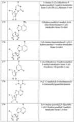 Figure imgf000039_0001