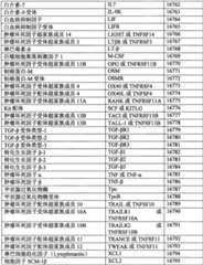 Figure BPA0000291811450002841