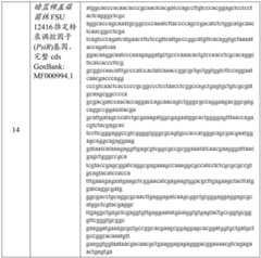 Figure BDA0003676072500000361