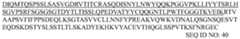Figure PCTCN2019107787-appb-000033