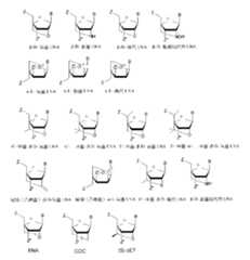 Figure 109145408-A0305-12-0033-4