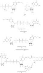 Figure US08093367-20120110-C00008