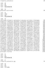 Figure IDA0002536600790000221