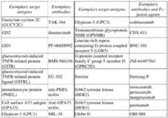 Figure imgf000029_0001