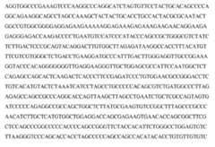 Figure imgf000124_0003