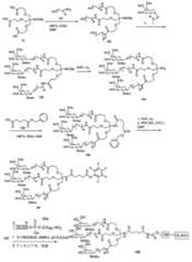 Figure 0007429103000352