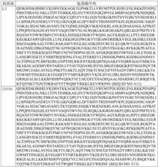 Figure BDA0003627552160002581