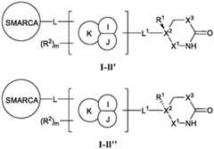 Figure BDA0003783300830000682