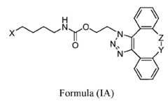 Figure imgf000006_0001