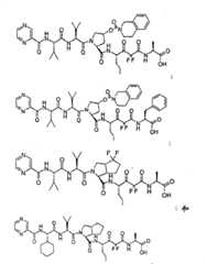 Figure G2009101493490D01571