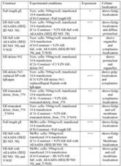 Figure imgf000260_0001