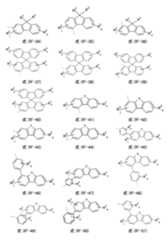 Figure 0007402800000041