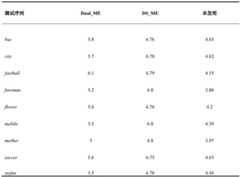 Figure GDA0002317136580000101