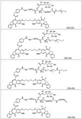 Figure BDA0003285627320000561