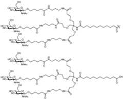 Figure imgf000536_0001