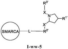 Figure BDA0003783300830001171