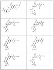 Figure imgf000282_0001