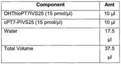Figure imgf000033_0001