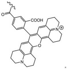 Figure BDA0003670511740001153