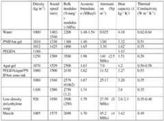 Figure imgf000026_0001