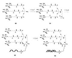 Figure 106103567-A0304-12-0162-158