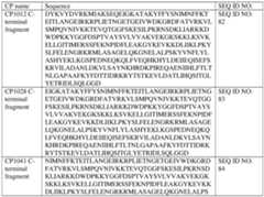 Figure imgf000174_0002