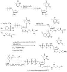 Figure imgf000566_0001