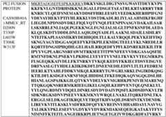 Figure imgf000240_0002