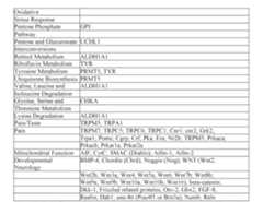 Figure imgf000457_0001