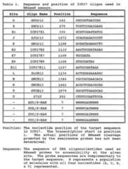 Figure imgf000016_0001