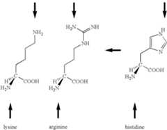 Figure US08461258-20130611-C00030