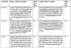 Figure imgf000042_0001