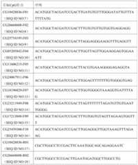 Figure PCTCN2019092116-APPB-000014