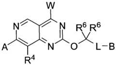 Figure imgf000003_0001