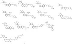 Figure GDA0003276334280000113