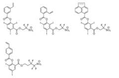 Figure JPOXMLDOC01-appb-C000015