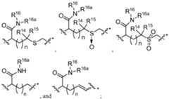 Figure imgf000015_0001