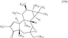 Figure US10722484-20200728-C00015