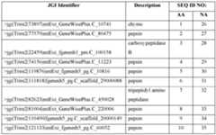 Figure imgf000006_0001