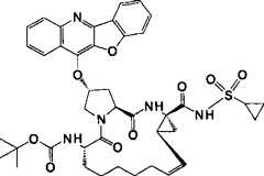 Figure G2008101743025D00066