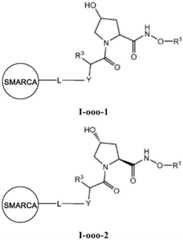 Figure BDA0003783300830001351