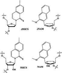 Figure imgf000018_0001