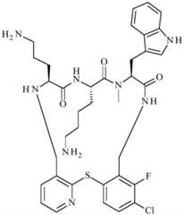 Figure BDA0001640213710003851