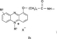 Figure BPA00001263293900151