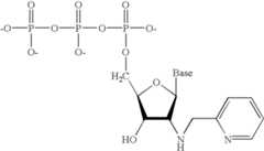 Figure US06444423-20020903-C00007