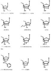 Figure 2025513740000006