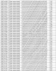 Figure imgf000178_0001