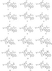 Figure BDA0002153963870000071