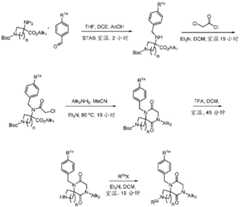 Figure BDA0003027264030002501