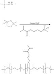 Figure US07994356-20110809-C00014